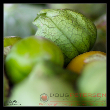 Tomatillos