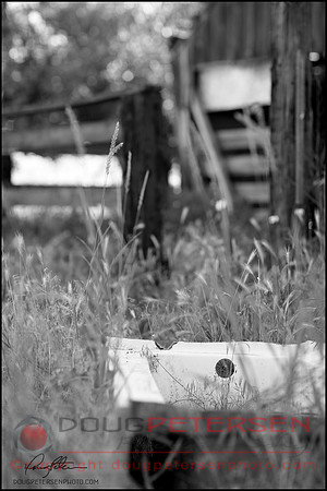 Old Tub