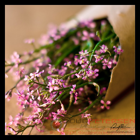 Pink Flowers