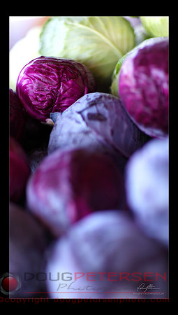All Colors of Cabbage